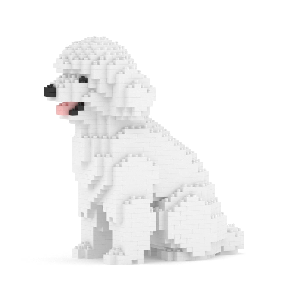 Caniche miniatura 03-M01