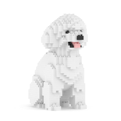 Caniche miniatura 03-M01