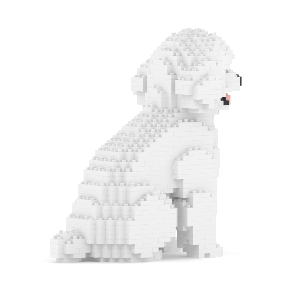 Caniche miniatura 03-M01