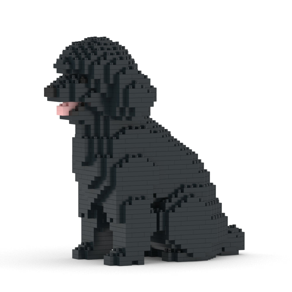Caniche de juguete 03-M02
