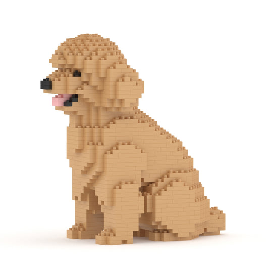 Caniche miniatura 03-M03