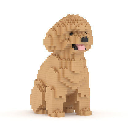 Caniche miniatura 03-M03