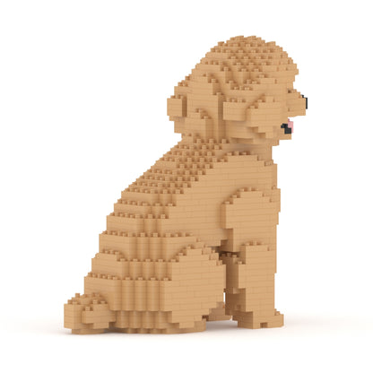Caniche miniatura 03-M03