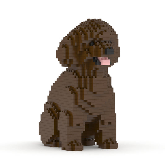 Toy Poodle 03-M05