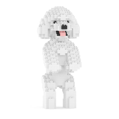 Caniche Toy 04-M01