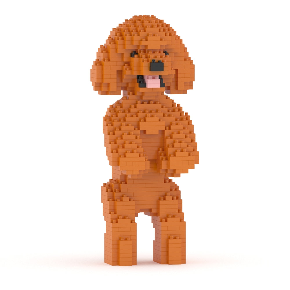 Caniche toy 04-M04