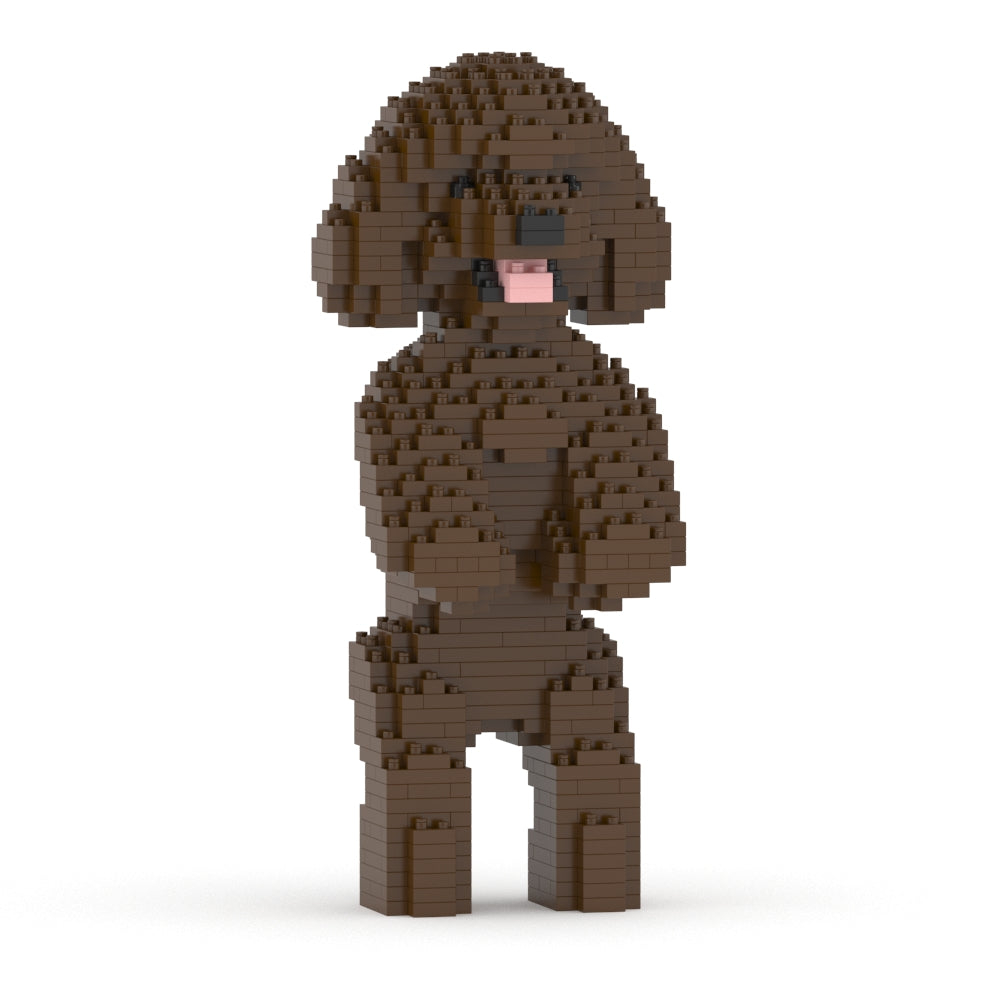 Caniche Toy 04-M05