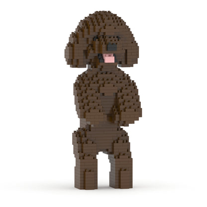 Caniche Toy 04-M05