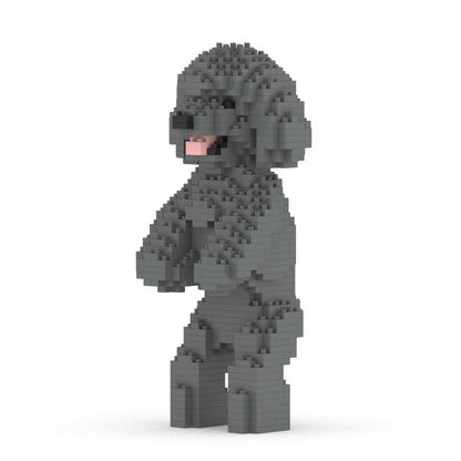 Caniche Toy 04-M06