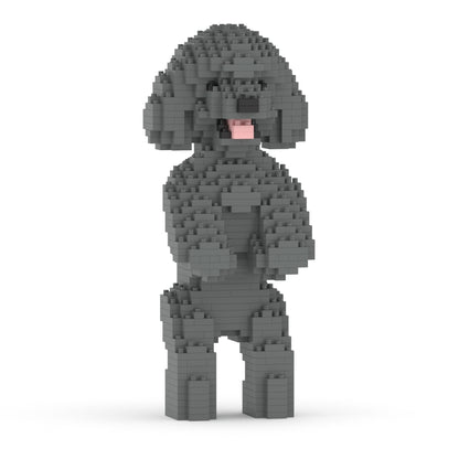 Caniche Toy 04-M06