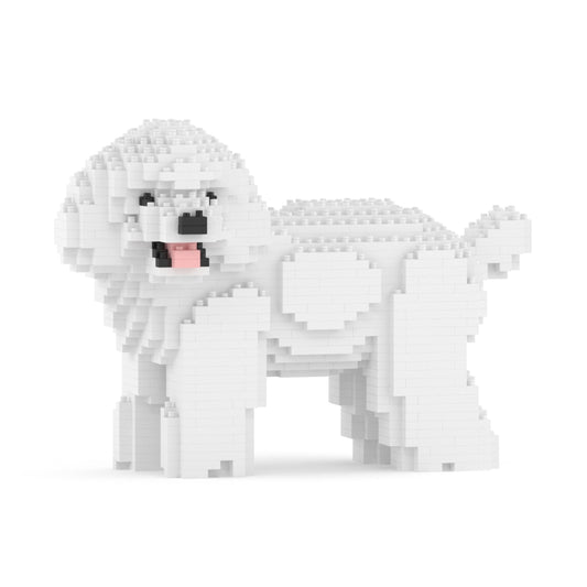 Caniche nain 05-M01
