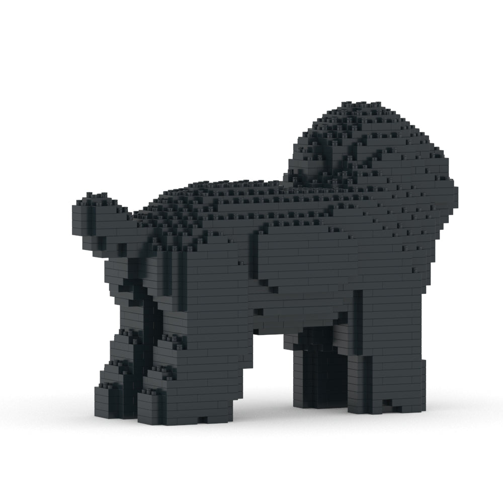 Caniche toy 05-M02