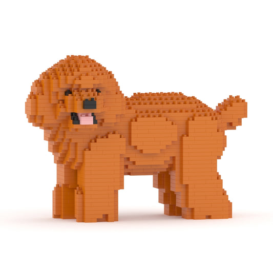 Caniche toy 05-M04