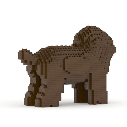 Caniche nain 05-M05