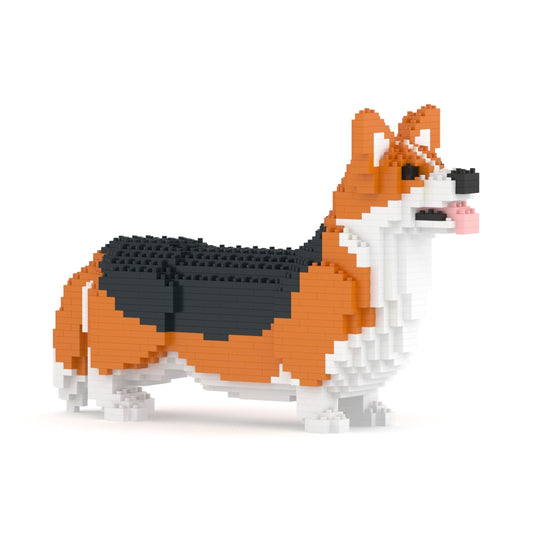 Corgi galés 02-M02