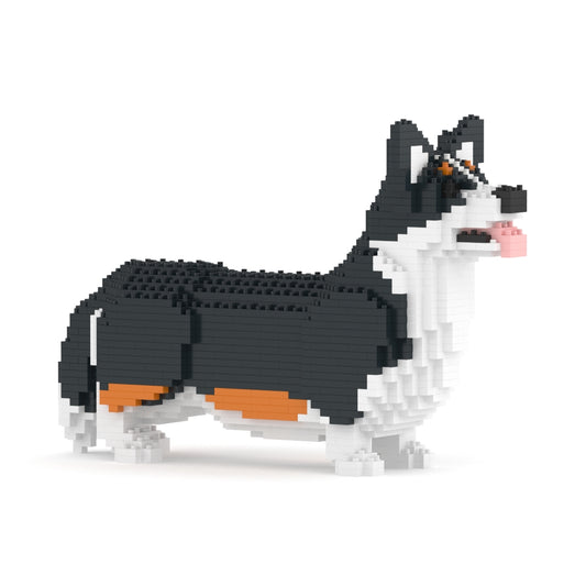 Corgi Galés 02-M03