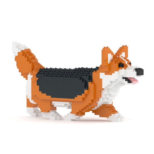Corgi galés 04-M02