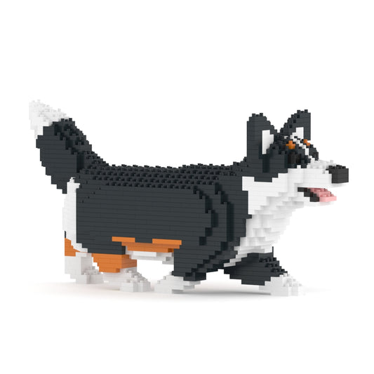 Corgi galés 04-M03