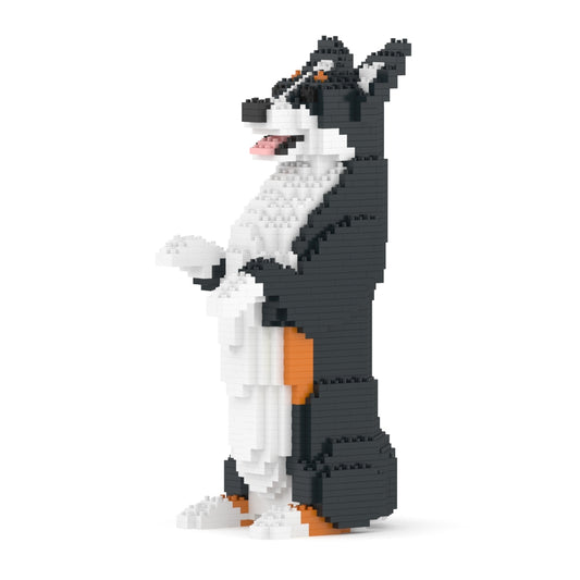Corgi galés 05-M03
