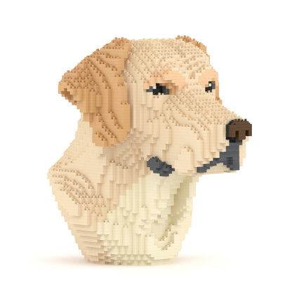 Labrador Bust 01