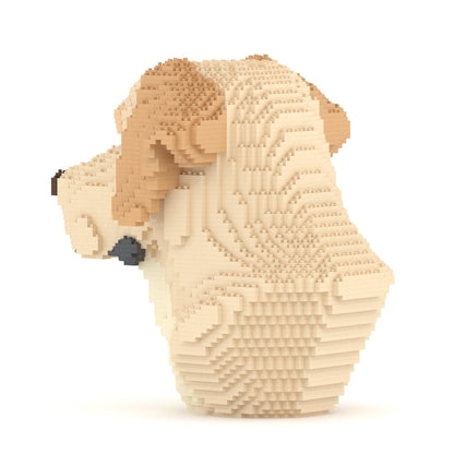 Labrador Bust 01