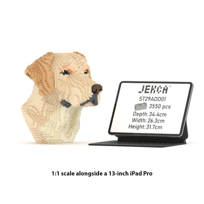 Labrador Bust 01