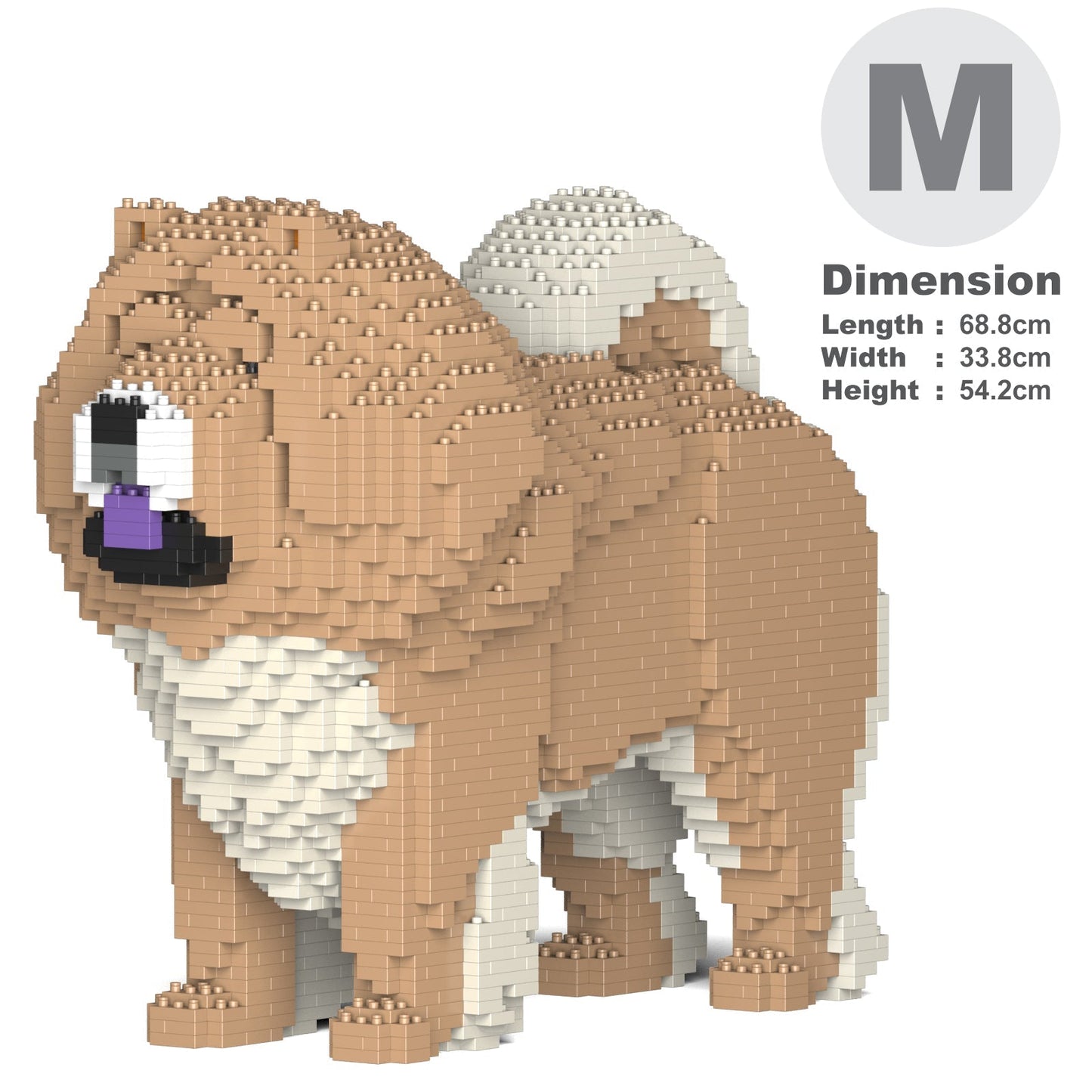 Chow Chow 02-M01