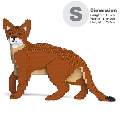 Abyssinian Cat 01S