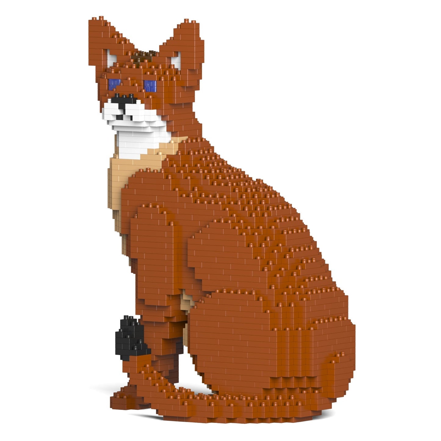 Abyssinian Cat 02S
