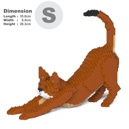 Abyssinian Cat 04S