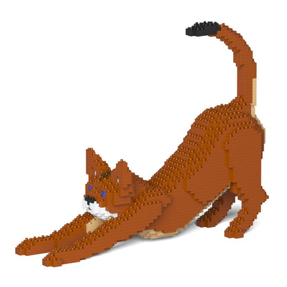 Abyssinian Cat 04S