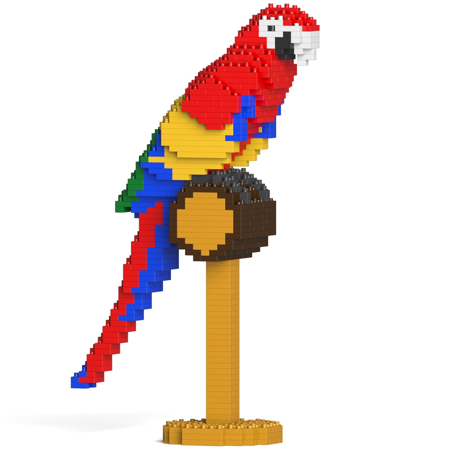 Macaw 01S