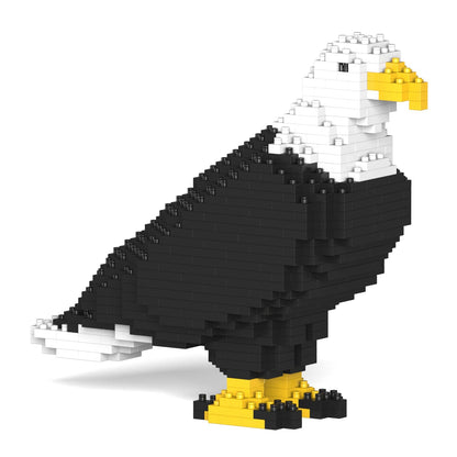 Bald Eagle 01