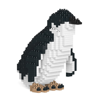 Little Penguin 01