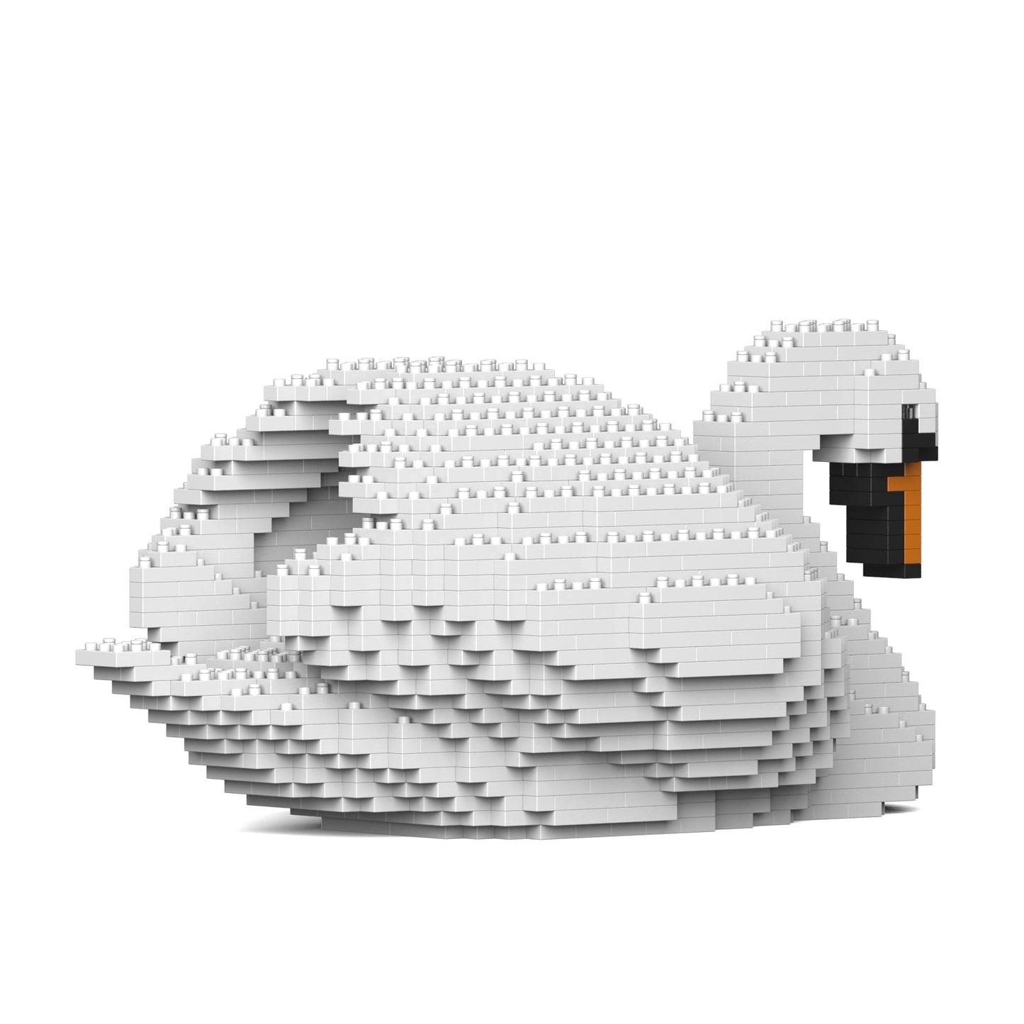 Swan 01