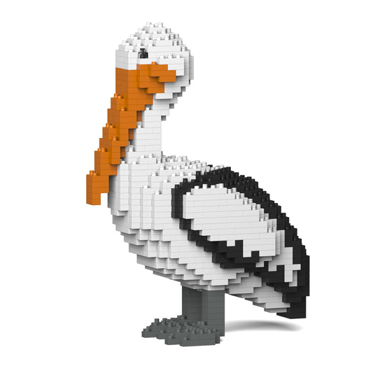 Pelican 01