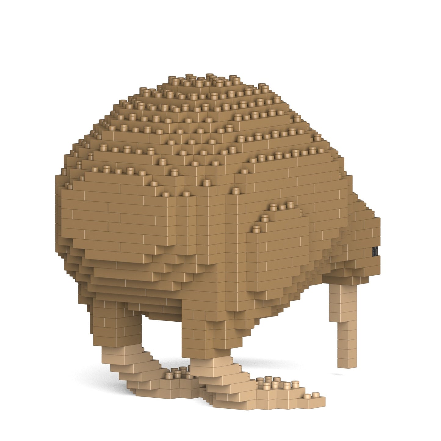 Kiwi 01S