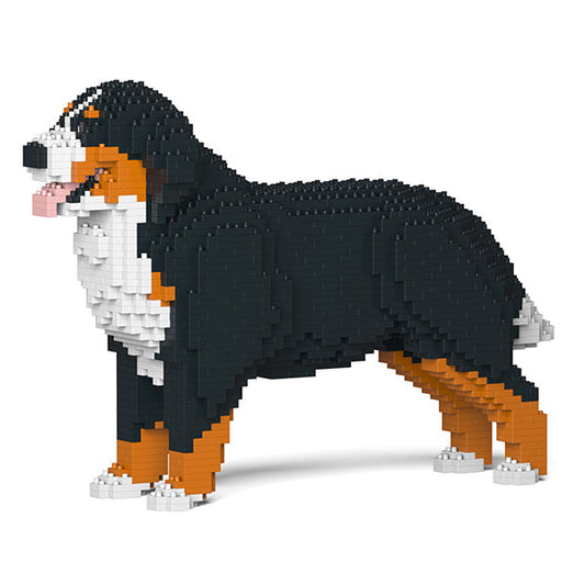 Bernese Mountain Dog 02