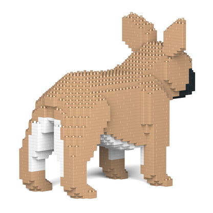 French Bulldog 02-M01