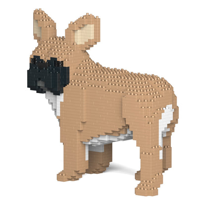 French Bulldog 03-M01
