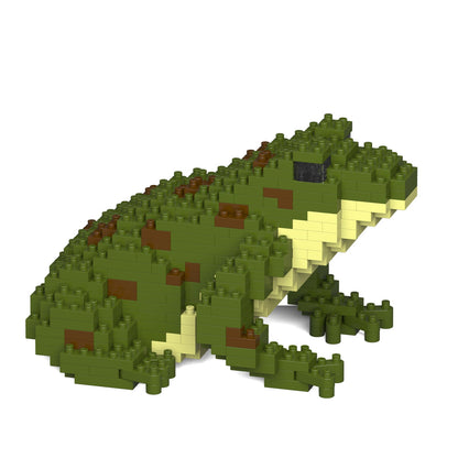 Frog 01-M02
