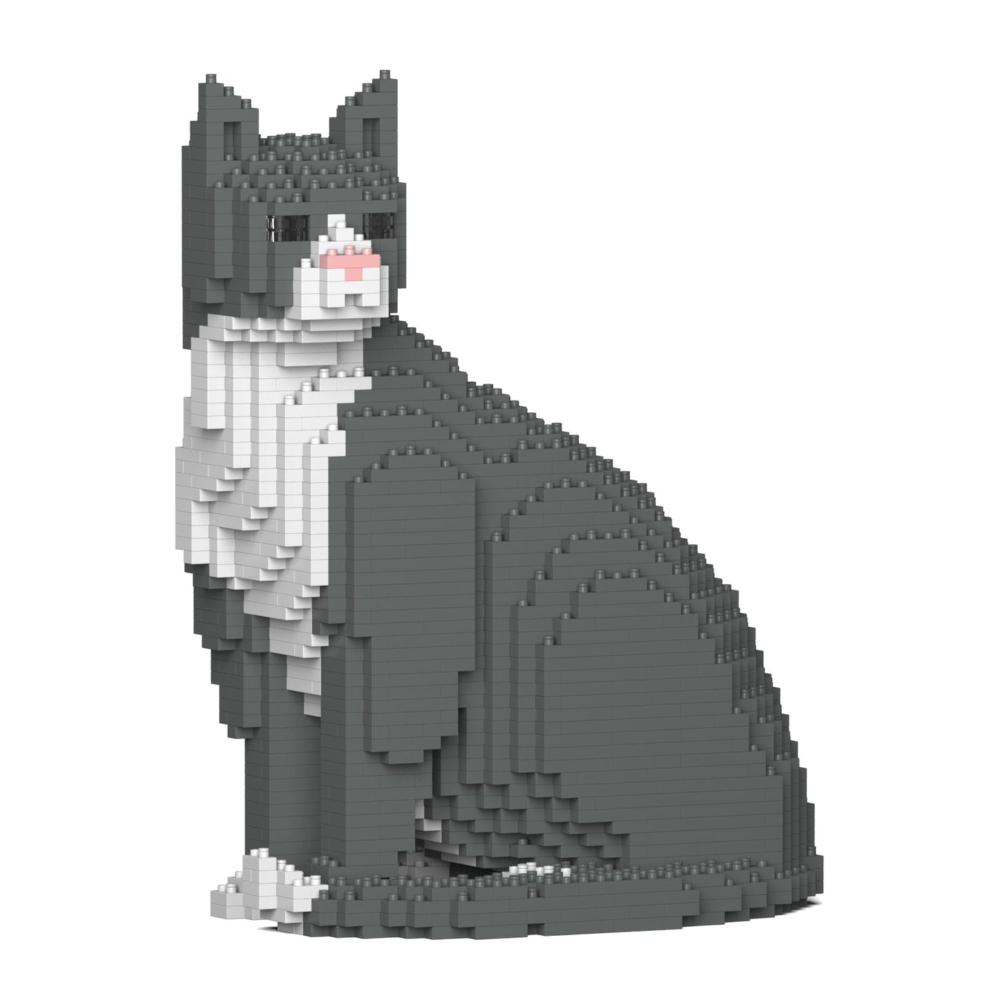 Grey Tuxedo Cat 01S
