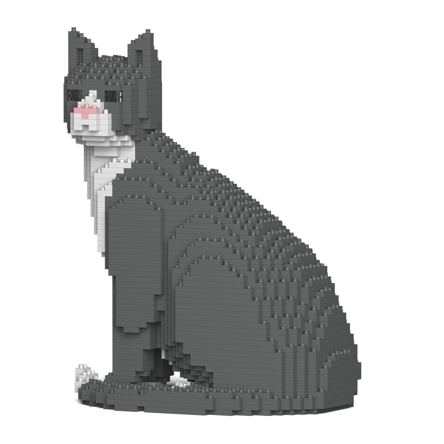 Grey Tuxedo Cat 01S