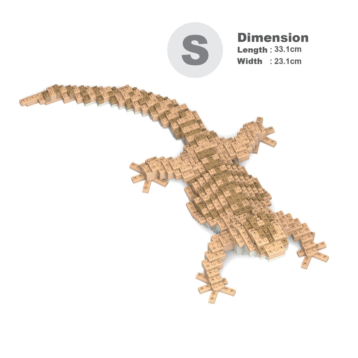 Bearded Dragon 01