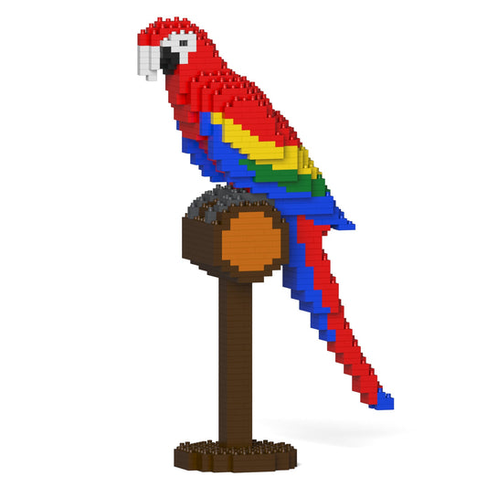 Scarlet Macaw 01S