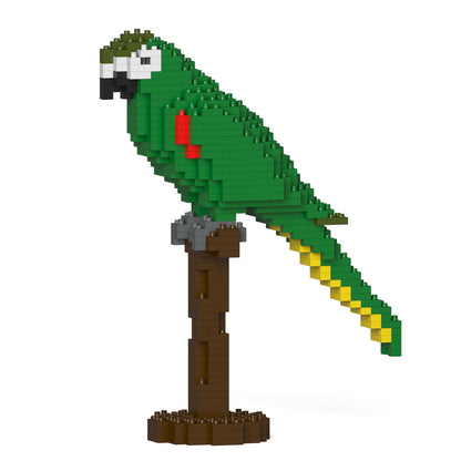 Hahn's Macaw 01S