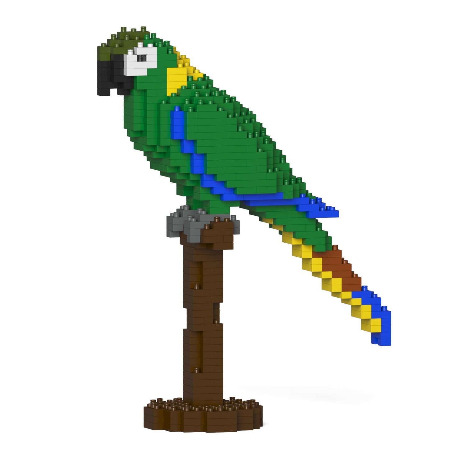 Yellow Collared Macaw 01S