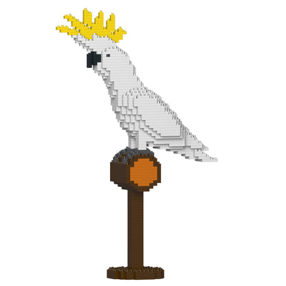 Sulphur-crested Cockatoo 01S