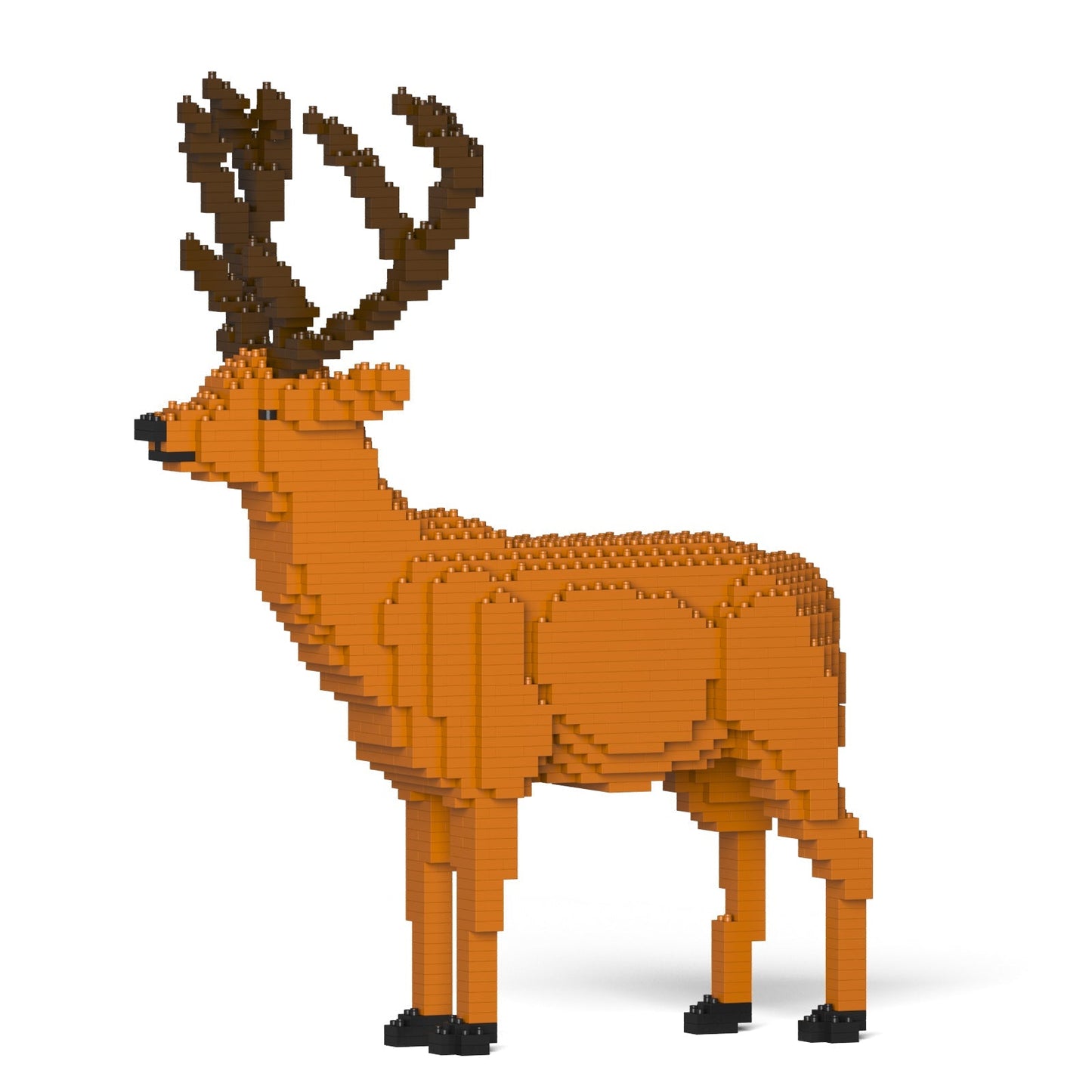 Deer 01
