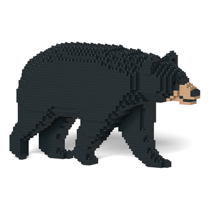 Black Bear 01
